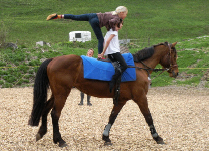 Voltige