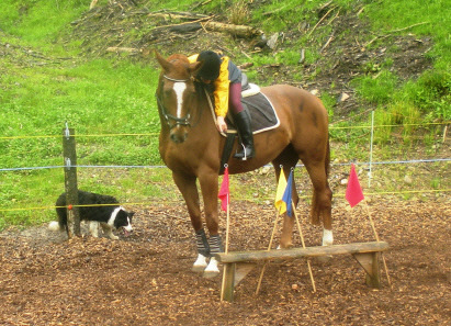 Gymkhana