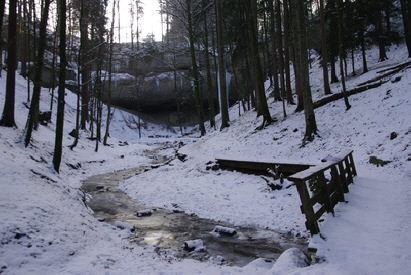 wisengubel im Winter